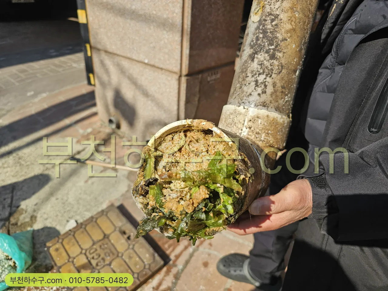 옥상 배수구 · 홈통 · 베란다 우수관 막힘 — 홈통에서 꺼낸 낙엽 덩어리